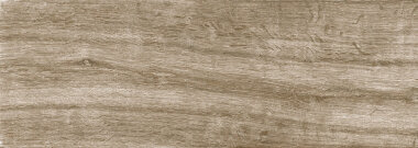 Wild Wood Look Porcelain Tile 9" x 48" - Beige