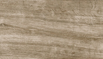 Wild Wood Look Porcelain Tile 9