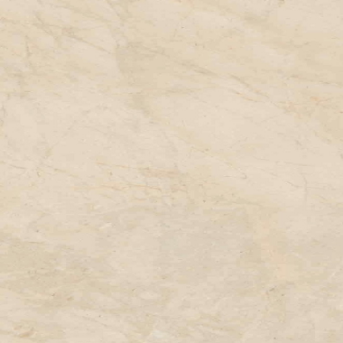 Biotech Tile 24" x 24" - Crema Stone