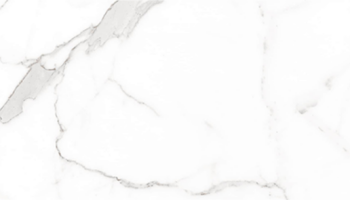 Palatina Marble Look Tile 12