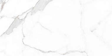 Palatina Marble Look Tile 12" x 48" - Palatina