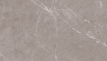 Pietra Next Marble Look Tile 24