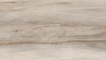 Living Series Wood Look Porcelain Tile 3