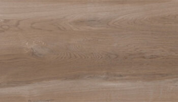 Aequa Wood Look Porcelain Tile 8