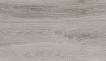 Aequa Wood Look Porcelain Tile 8