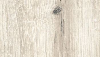 Timeless Wood Look Porcelain Tile 10