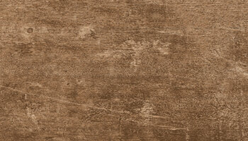 Wood Trend Wood Look Porcelain Tile 8