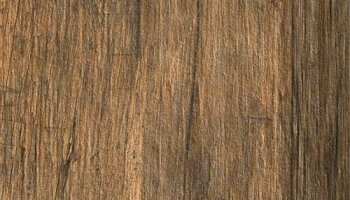 Bio-Recover Wood Look Porcelain Tile 8