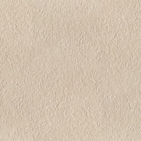 Micron 2.0 Tile 12" x 24" - Almond