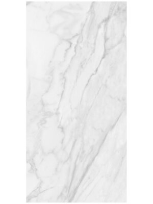 Plata Field Marble Look Tile "Matte" 24" x 48" - Statuario Brina