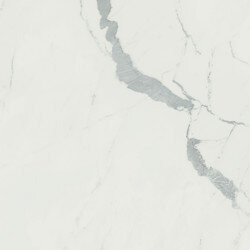 Anima Marble Look Tile 24" x 24" - Statuario Venato Polished