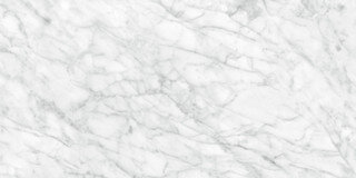 Plata Field Marble Look Tile "Matte" 24" x 48" - Carrara Abisso