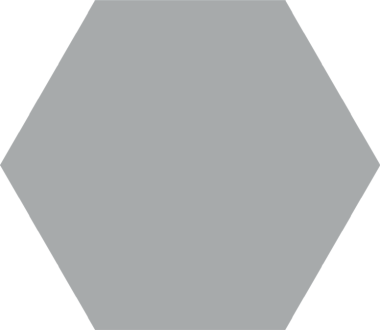 Apini 10" Hexagon  Tile 9" x 10.5" - Grey