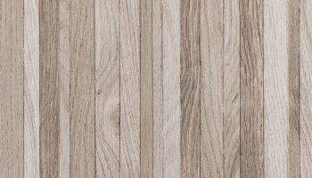 Wooddesign Wood Look Porcelain Tile 19