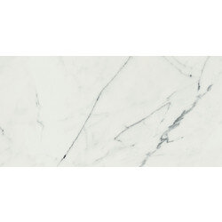 Anima Marble Look Tile 12" x 24" - Statuario Venato