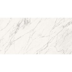 Trumarmi Polished Marble Look Tile 24" x 48" - Venatino