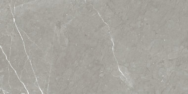 Rhapsody Marble Look Tile 24" x 48" - Allure