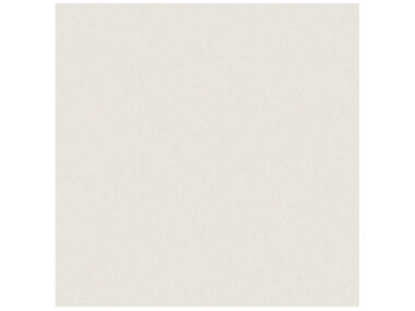 Prima Tile 12" x 12" - Warm White Polished