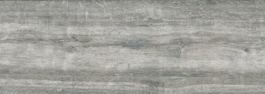 Wild Wood Look Porcelain Tile 9" x 48" - Gris