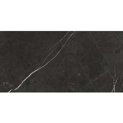 Anima Marble Look Tile 12" x 24" - Graphite