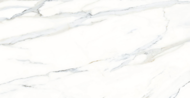 Cararra Nuev Tile 24" x 48" - Carrara Nuev Polished