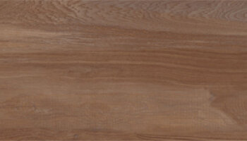 Aequa Wood Look Porcelain Tile 8