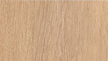 Cocoon Wood Look Porcelain Tile 8