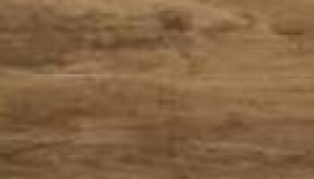 Woodland Wood Look Porcelain Tile 8