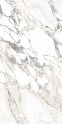 Carrara Select Marble Look Tile Matte 24" x 48" - Arabescato