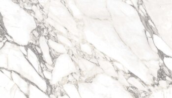 Carrara Select Marble Look Tile Matte 24