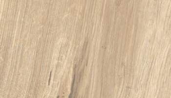 Timeless Wood Look Porcelain Tile 10