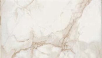 Citadel Marble Look Tile 24